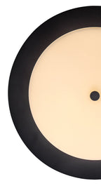 Luminosity Designs Ltd - Mist 35cm Bathroom Ceiling Light , 18W LED, 3000K, 1080lm, IP44 Rated - Luminosity Designs Ltd