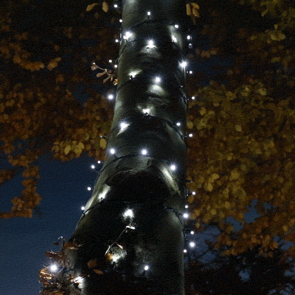 Connect Pro Connectable Flash Bulb String Lights on Black Rubber Cable