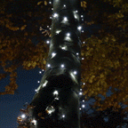 Connect Pro Connectable Flash Bulb String Lights on Black Rubber Cable