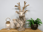 Luminosity Designs - Oxidised Iron Effect Victorian Style Large Stag Bust - Luminosity Designs Ltd