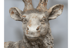 Luminosity Designs - Oxidised Iron Effect Victorian Style Large Stag Bust - Luminosity Designs Ltd