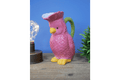 Luminosity Designs - Polly Parrot Tropical Themed China Jug - Luminosity Designs Ltd