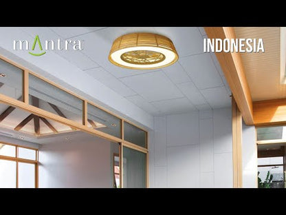Indonesia Mini LED Dimmable Ceiling Light With Built-In Fan - Remote Control