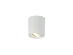 Deco - Rico Adjustable Cylinder Spotlight - Luminosity Designs Ltd