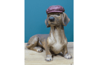 Luminosity Designs - Simon the Sausage Dog Ornament - Luminosity Designs Ltd