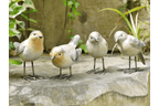 Luminosity Designs - Small Playful Bird Ornaments - 4 Designs Available - Luminosity Designs Ltd