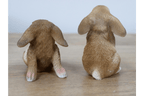 Luminosity Designs - Small Playful Bunny Rabbit Ornaments - 2 Designs Available - Luminosity Designs Ltd
