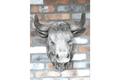 Luminosity Designs - Stone Effect Victorian Style Wall Mounted Cows Head Garden Planter - Luminosity Designs Ltd