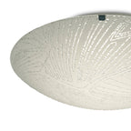 Deco - Tassa Flush Ceiling Light With Etched Glass - Luminosity Designs Ltd