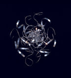 Diyas - Zen Wall or Ceiling Lamp - Luminosity Designs Ltd