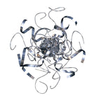 Diyas - Zen Wall or Ceiling Lamp - Luminosity Designs Ltd