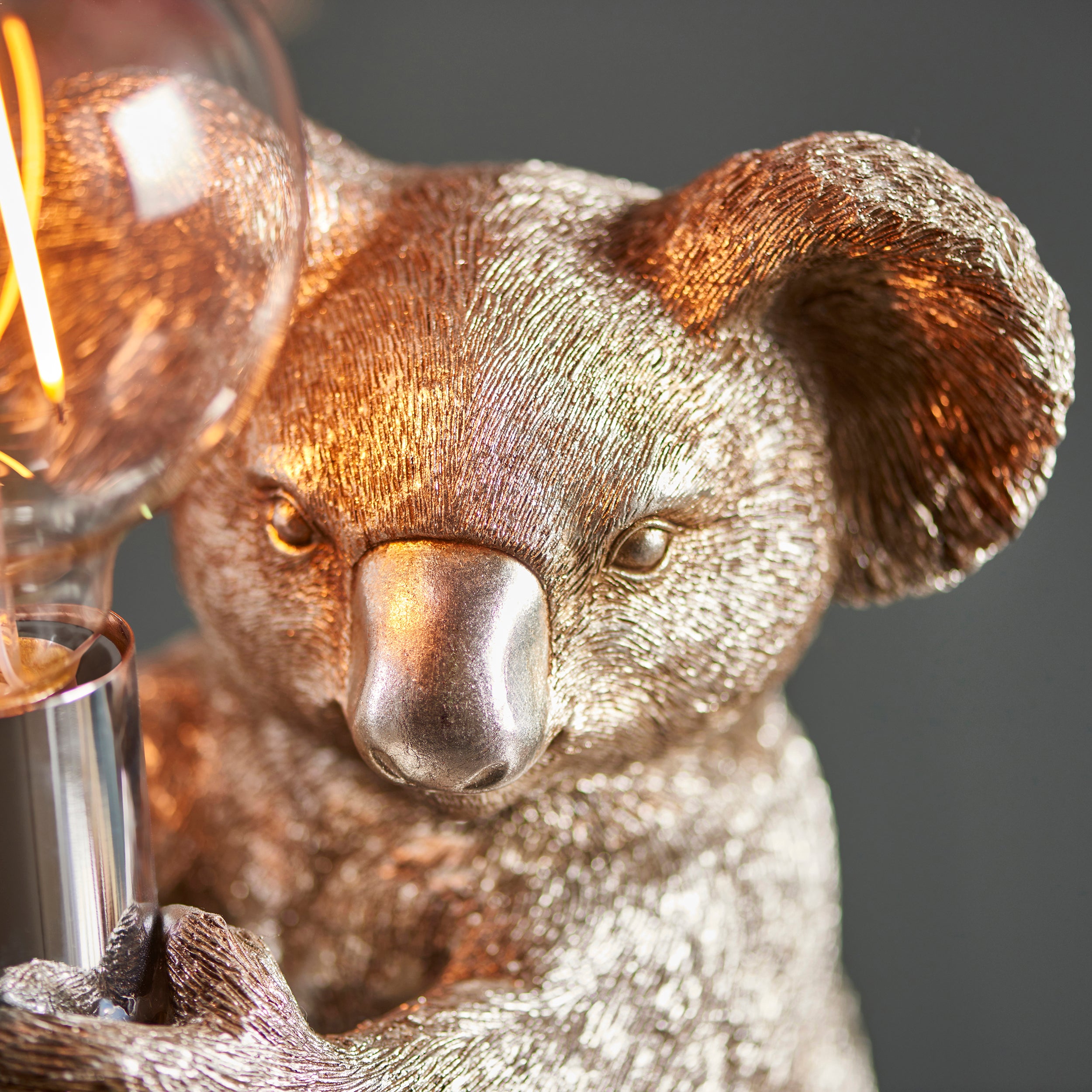 Koala shop led light