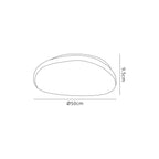 Cirrus Ceiling Light