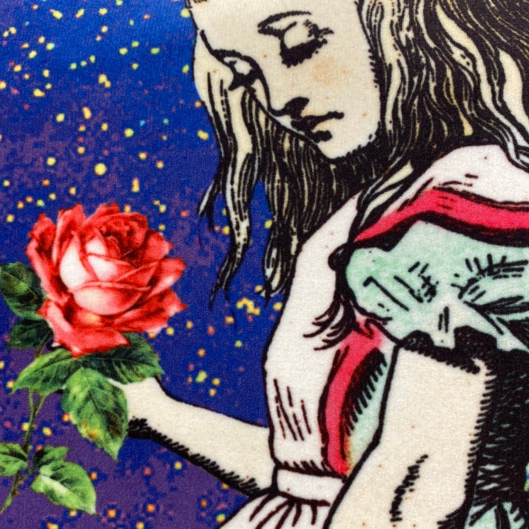 Luminosity Designs - Alice in Wonderland Bright Roses Artist Style Couch Cushion - Luminosity Designs Ltd