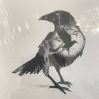 DP Art - Animal Silhouette Cards by DP Art - 4 Designs - Luminosity Designs Ltd