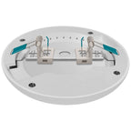 Crompton - Atlanta Universal Slimline Mini Bulkhead / Spot - Luminosity Designs Ltd