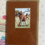 Kitty B Bears - Bear Greetings Cards - 6 Designs - Luminosity Designs Ltd