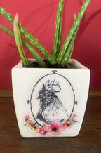 Luminosity Designs - Ceramic Decoupage Farmyard Succulent Mini Plant Pots - Luminosity Designs Ltd