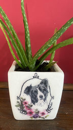 Luminosity Designs - Ceramic Decoupage Farmyard Succulent Mini Plant Pots - Luminosity Designs Ltd