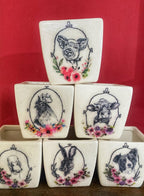 Luminosity Designs - Ceramic Decoupage Farmyard Succulent Mini Plant Pots - Luminosity Designs Ltd