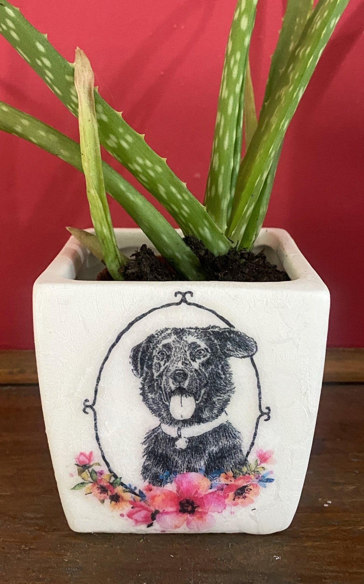 Luminosity Designs - Ceramic Decoupage Farmyard Succulent Mini Plant Pots - Luminosity Designs Ltd