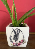 Luminosity Designs - Ceramic Decoupage Farmyard Succulent Mini Plant Pots - Luminosity Designs Ltd