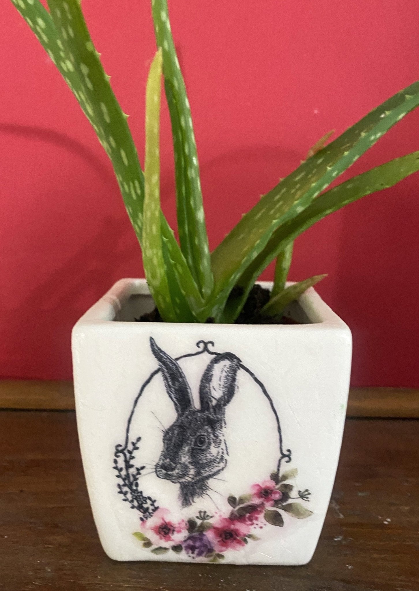 Luminosity Designs - Ceramic Decoupage Farmyard Succulent Mini Plant Pots - Luminosity Designs Ltd
