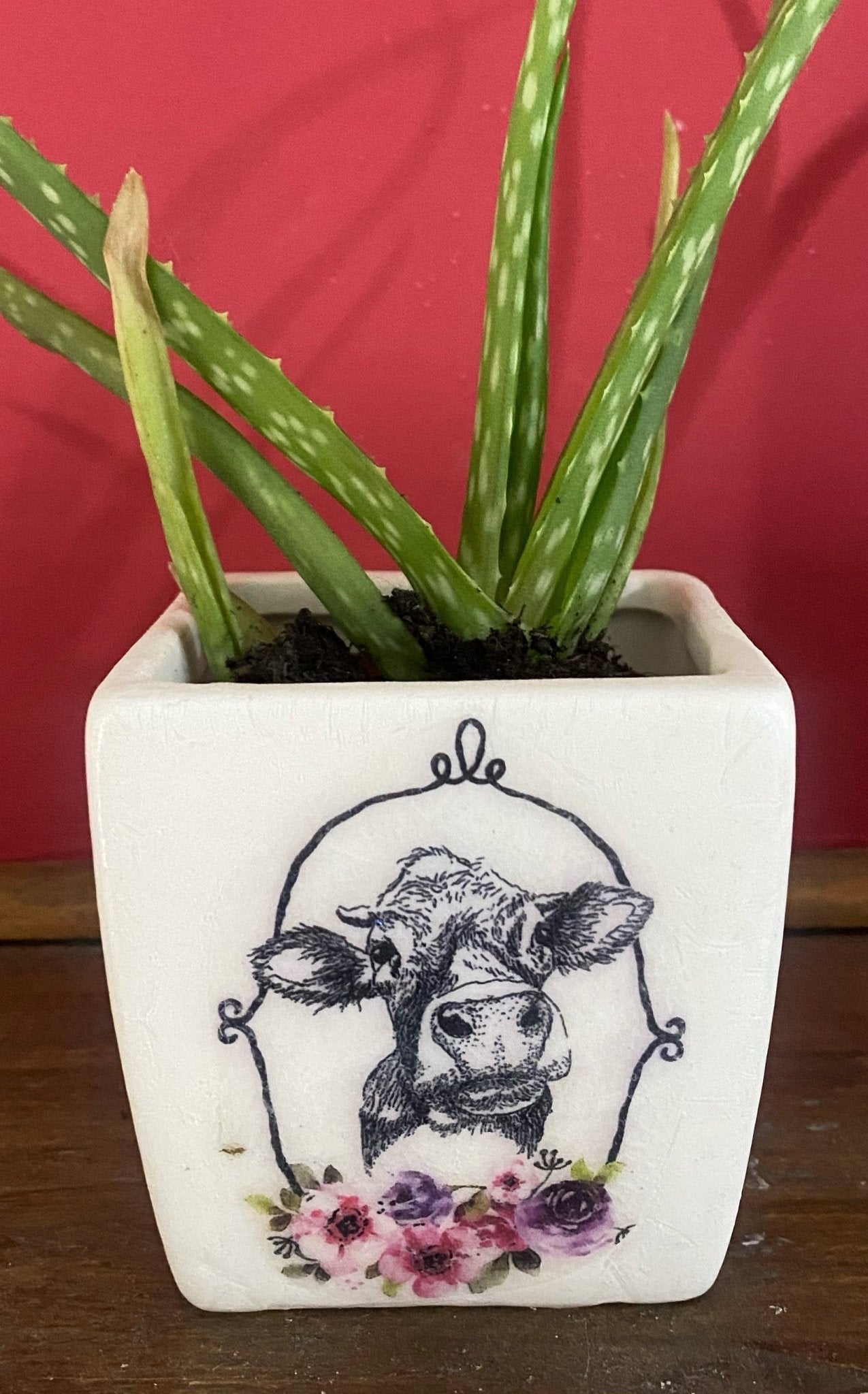 Luminosity Designs - Ceramic Decoupage Farmyard Succulent Mini Plant Pots - Luminosity Designs Ltd