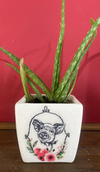 Luminosity Designs - Ceramic Decoupage Farmyard Succulent Mini Plant Pots - Luminosity Designs Ltd