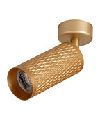 Ellie Mounted Spot Light