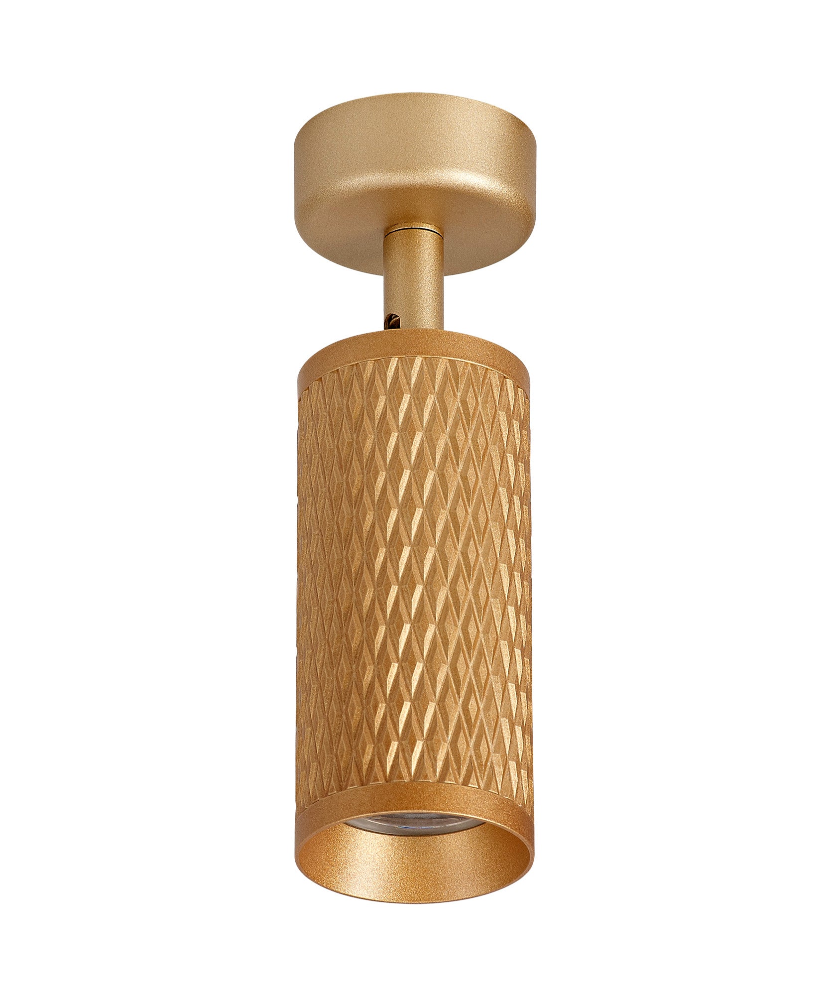 Ellie Mounted Spot Light