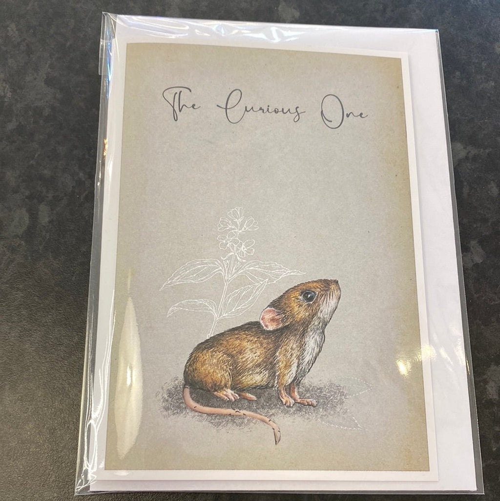 DP Art - Furry Friends Card by DP Art - 4 Designs - Luminosity Designs Ltd