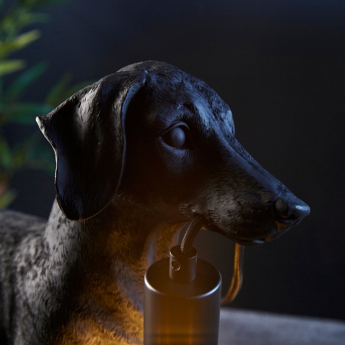 Harry The Daschund Table Lamp