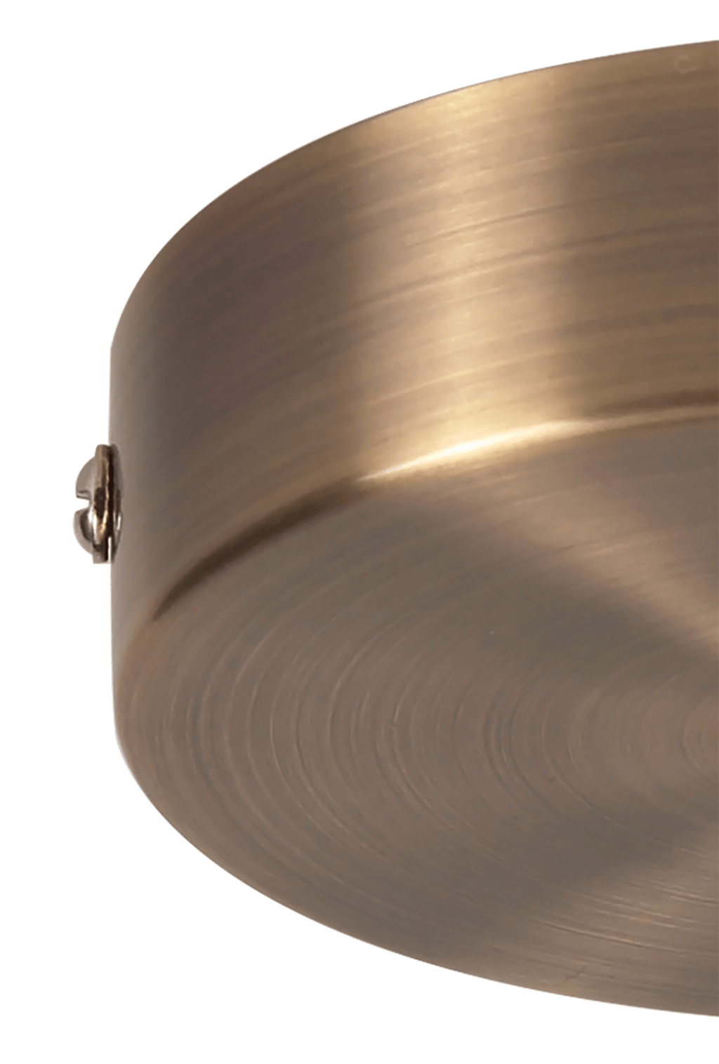 Luminosity Designs - Metal Ceiling Rose Canopy - Luminosity Designs Ltd