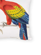 Luminosity Designs - Tropical Parrot Couch Cushion - Luminosity Designs Ltd