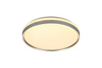 Danby Ceiling Light