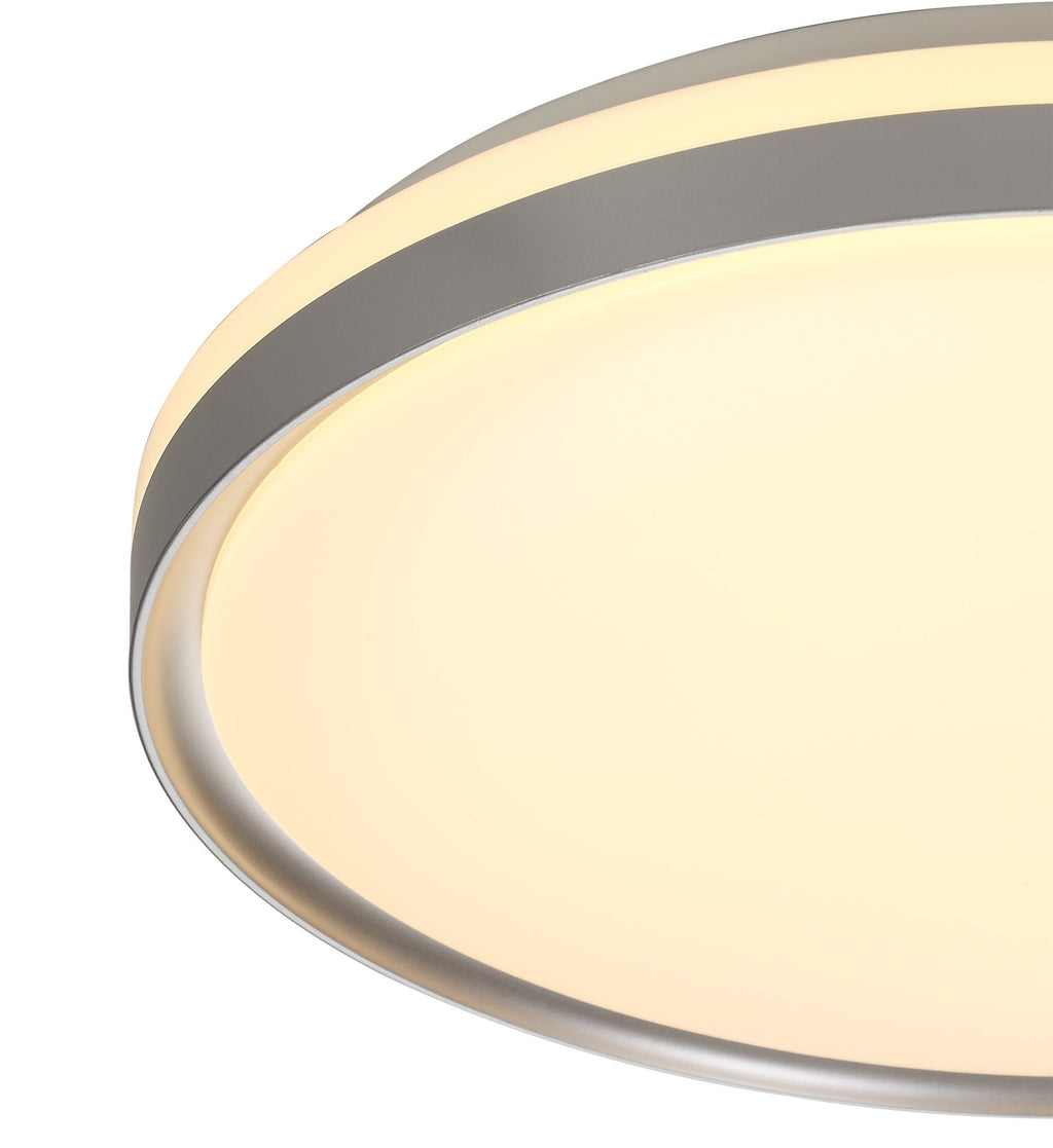 Danby Ceiling Light