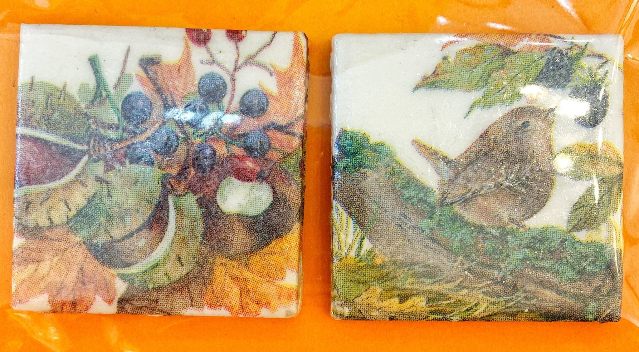 Wildlife Vintage Style Ceramic Magnets (2 pack) – Luminosity Designs Ltd